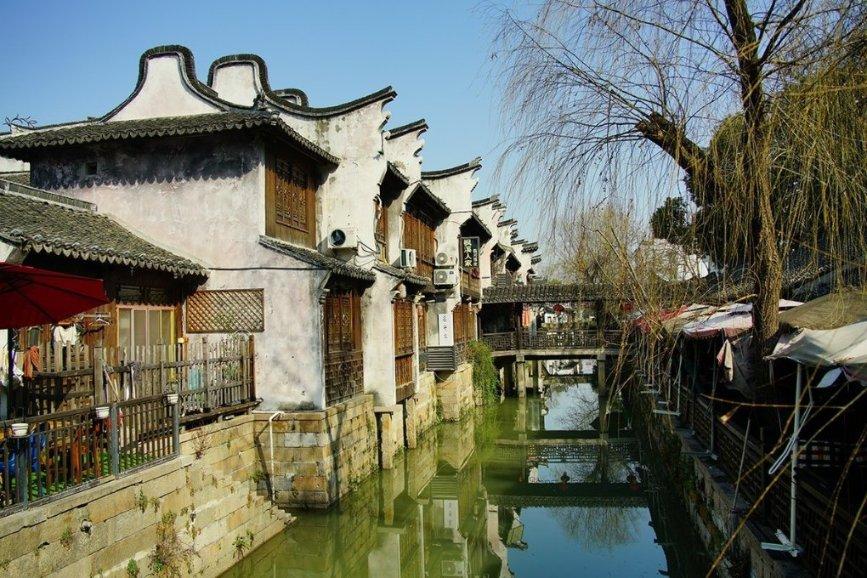 数字重庆“赛马记”丨江津区委书记李应兰：用好“数引”良方 展现大区担当 实现大区作为